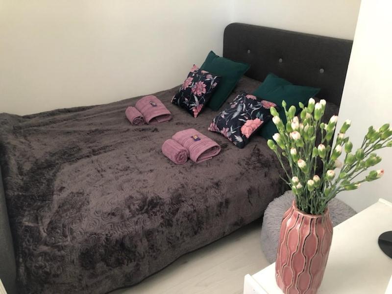 Nasze Brzezno Apartment Гданск Екстериор снимка